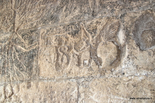 stello di Paterno-26-02-2023 12-19-12